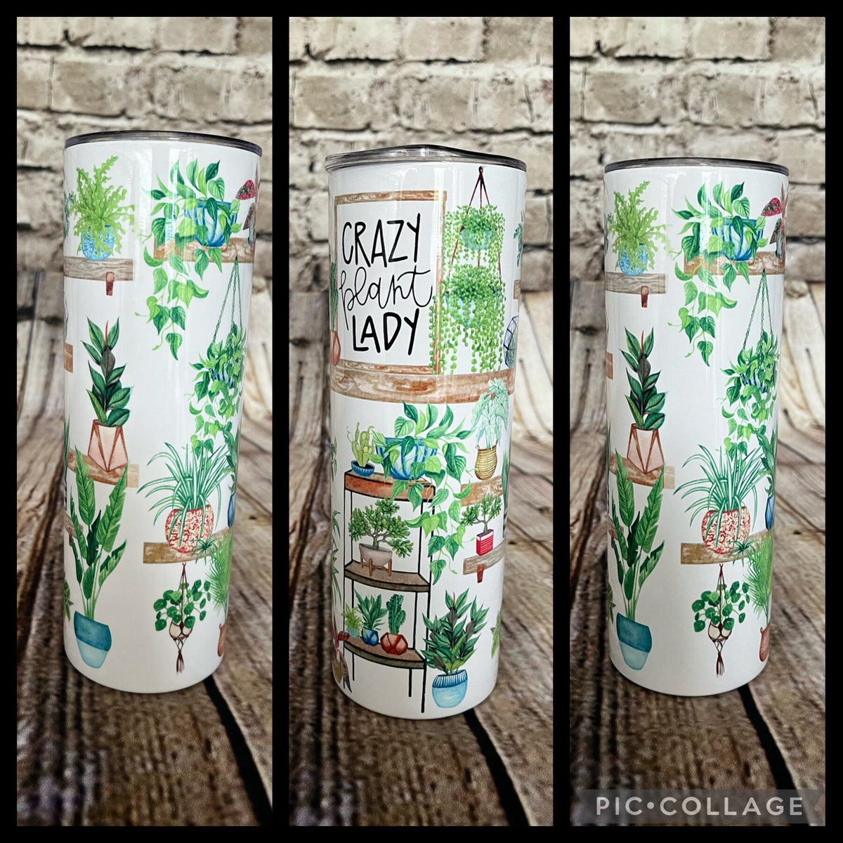 Crazy Plant Lady Tumbler, Horticulture Cup, Crazy Plant Lady Cup, Plant lady Tumbler, Tumbler With Plants, Plant Gift