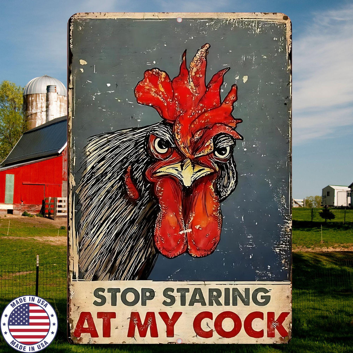 Funny Chicken Sign Gag Gift, Rooster Decor Funny Sign, Farmhouse Wall Art, Adult Humor Sign, Funny Farm Sign, Metal Sign 8x12 12x18