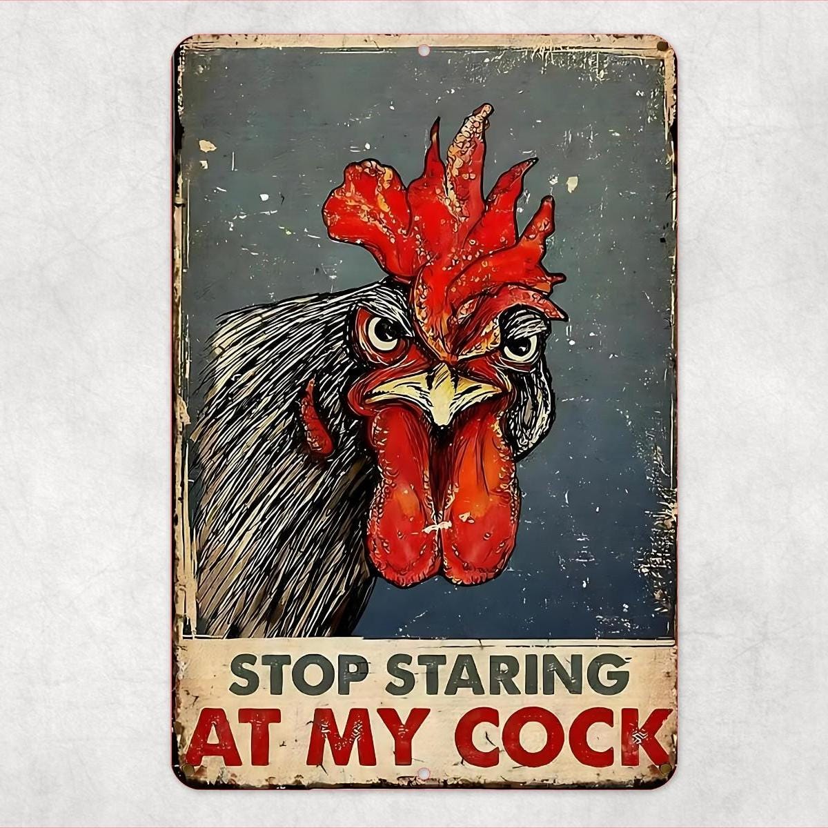 Funny Chicken Sign Gag Gift, Rooster Decor Funny Sign, Farmhouse Wall Art, Adult Humor Sign, Funny Farm Sign, Metal Sign 8x12 12x18