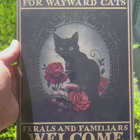 Salem Sanctuary For Wayward Cats Sign – 8x12 Vintage Gothic Cat Metal Sign | Witchy Cat Decor | Ferals and Familiars Welcome
