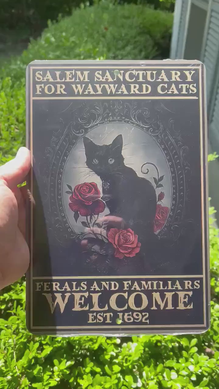 Salem Sanctuary For Wayward Cats Sign – 8x12 Vintage Gothic Cat Metal Sign | Witchy Cat Decor | Ferals and Familiars Welcome