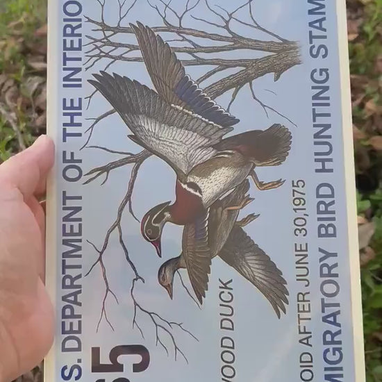 1975 Wood Duck Stamp Sign – Vintage Migratory Bird Hunting Art – 8x12 Metal Wall Decor for Hunting Lodge, Cabin, or Man Cave 12x18